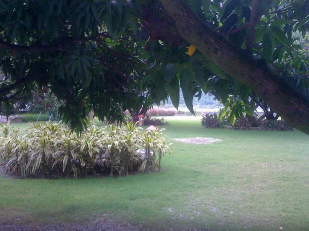 נייניטל Dewdrop Mango Bloom Resort חדר תמונה